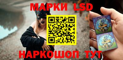 спиды Новозыбков