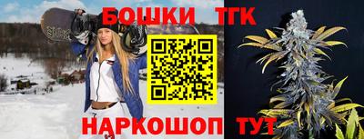 крисы Новодвинск