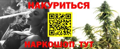 крисы Новодвинск