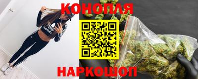 крисы Новодвинск