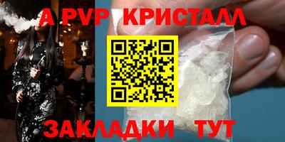 спиды Новозыбков