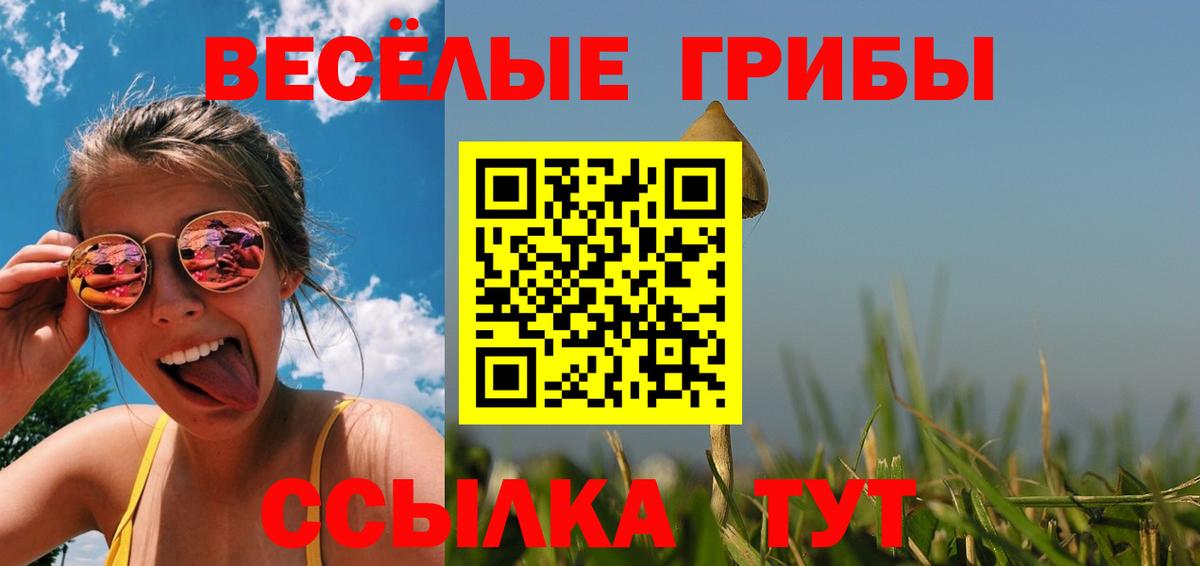 Галлюциногенные грибы Magic Shrooms  Вход с VPN  Строитель 